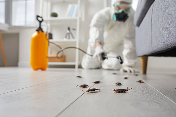 Post-Treatment Bed Bug Interceptor Monitoring in Archer